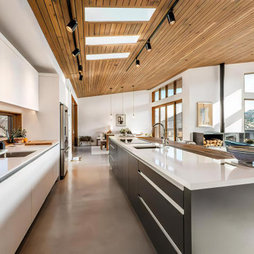Park City Modern