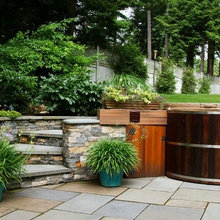 Landscape Ideas