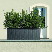 planter