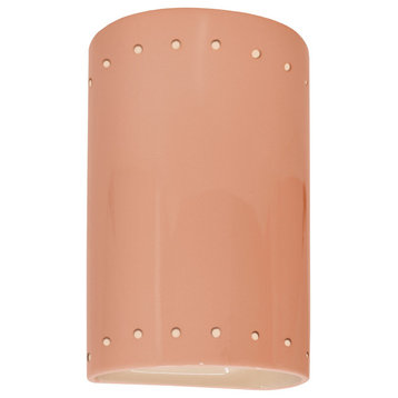 Ambiance Small Cylinder With Perfs Outdoor Wall Sconce, Closed, Gloss Blush, E26