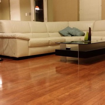 Hutto Remodel - Flooring