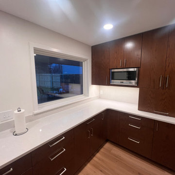 Modern Contemporary Kitchen Remodel