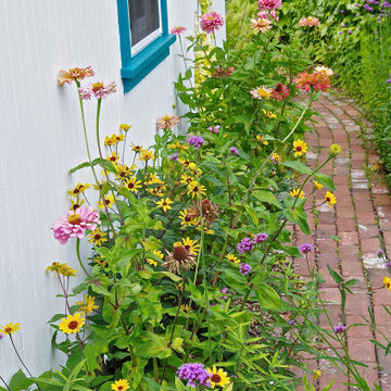 Annual Color