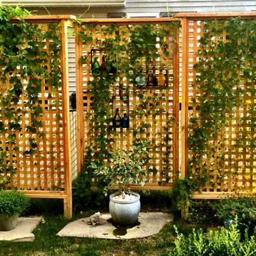 Privacy Screen Trellis