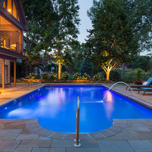 backyard dreams