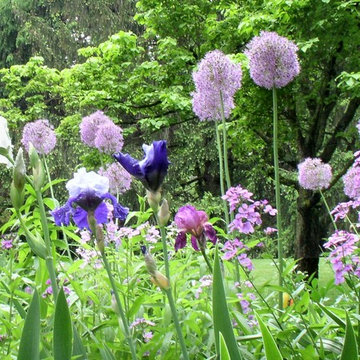Perennial Garden, Media, PA