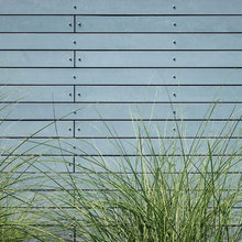 walls