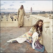 Kristen Calavas's photo