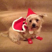Barbara Townsin-Legg's photo