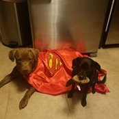 Christine Mueller's photo