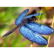 Alex Smith's photo