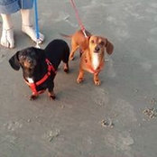 Curt Strobehn's photo