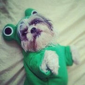 Kate Daskalakis's photo