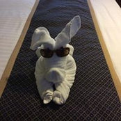 Anne Ramsdale's photo