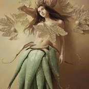 Agava Uscata's photo