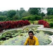 Pankaj Narain's photo