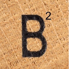 B Square Interiors