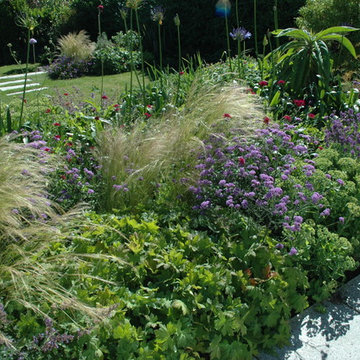 Seaside Town Garden