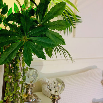 trucs et astuces jeux d'ombres plantes