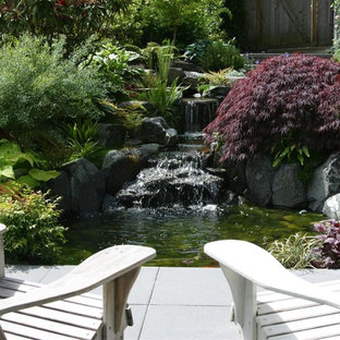 Design ideas for a contemporary garden in Seattle with with waterfall.