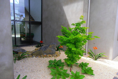 Inspiration for a contemporary courtyard shaded garden for fall in Geelong with gravel.