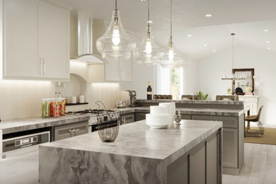Inspiration for a kitchen remodel in San Francisco
