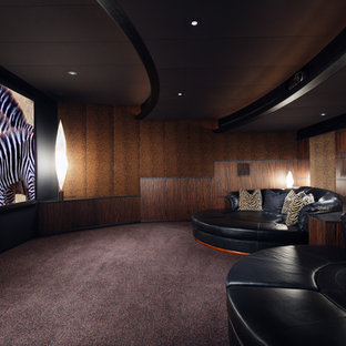 Southwest enclosed carpeted and multicolored floor home theater photo in Milwaukee