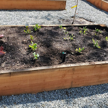 Landscape Projects