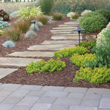 Our Work