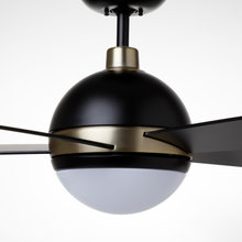 Ceiling Fans