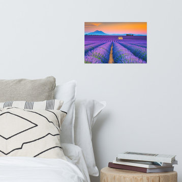 Blooming Lavender Field and Sunset Landscape Photo Unframed Wall Art Prints, 12" X 18"