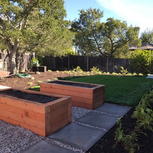 Backyard Garden