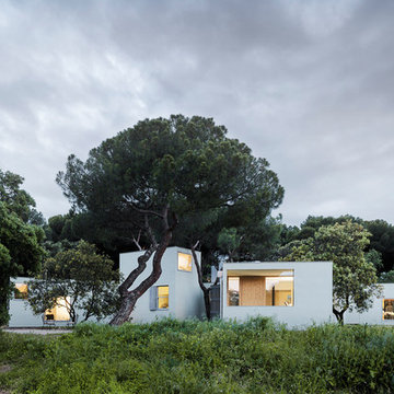 MO House