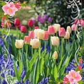 Cheryl Prescott D'Angelo's photo