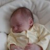Donna Haufschild's photo