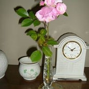 Steve Tohill's photo