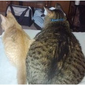 Cat Manning's photo