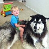Colleen Lawson's photo