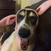 Eliza Wilder's photo
