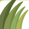 Permagreenlawns Ltd's profile photo
