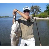 Terry Harshbarger's photo