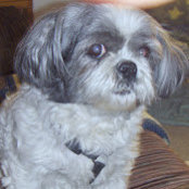 Ann Schmidt's photo
