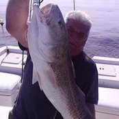 James Robinson Jr's photo