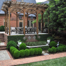 Landscaping--vegetation