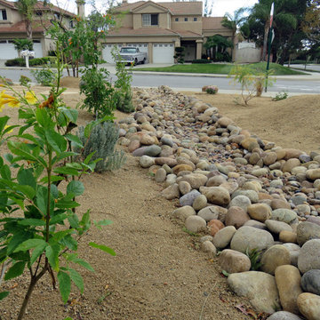 Rancho Cucamonga Drought Tolerant Design