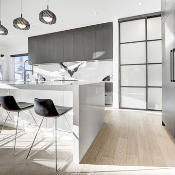Contemporary Kitchen in Painted Matte Black cabinet and Painted Matte Ultra Whit