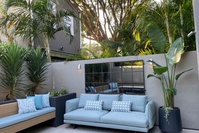 This is an example of a small modern courtyard garden in Sydney.