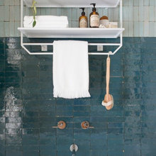 Bathroom Dreams