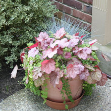 Planters