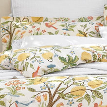 Bedroom Ideas